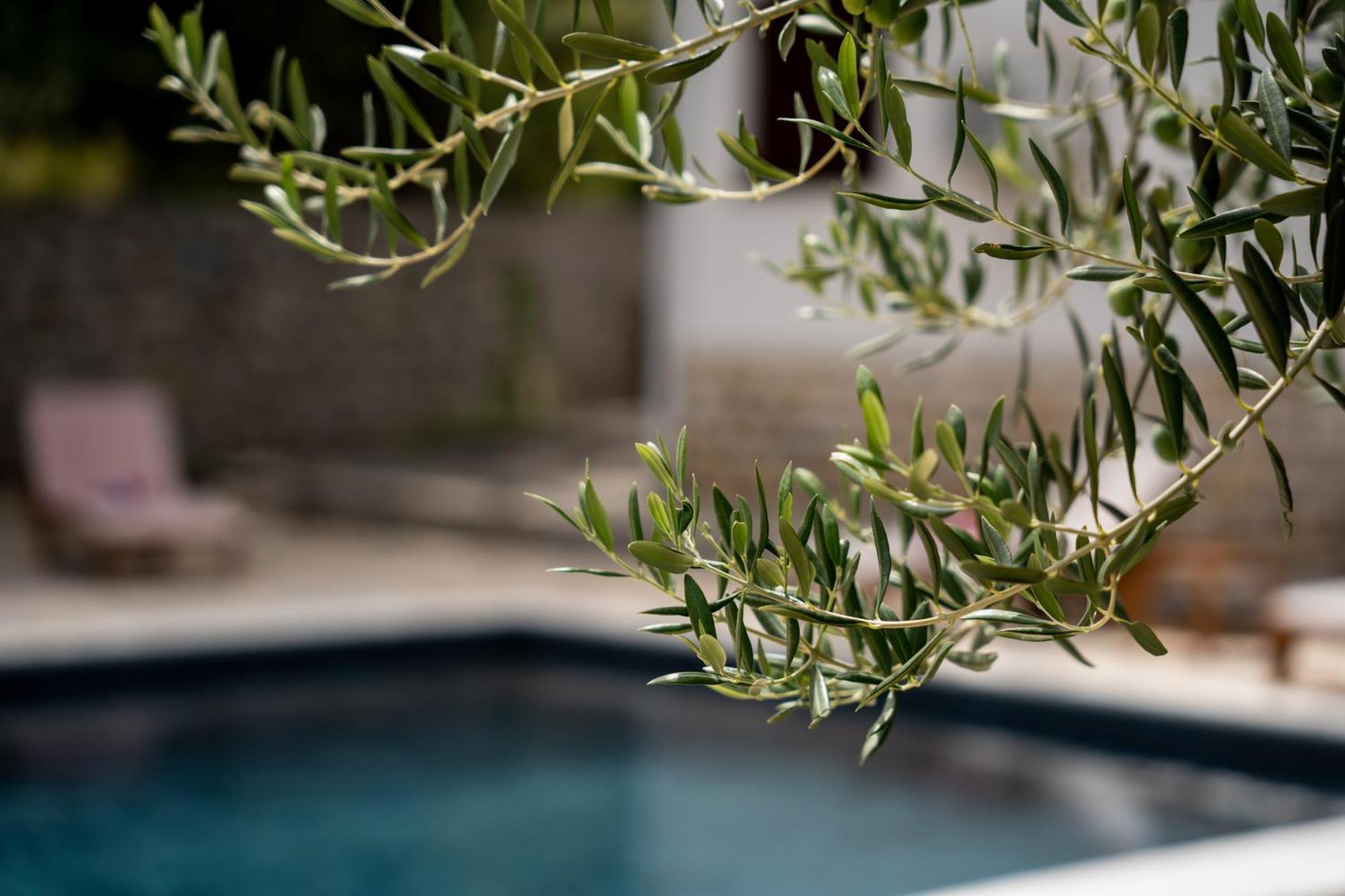 Villa Pag Dubrava Relax With Pool Bosana Exteriér fotografie