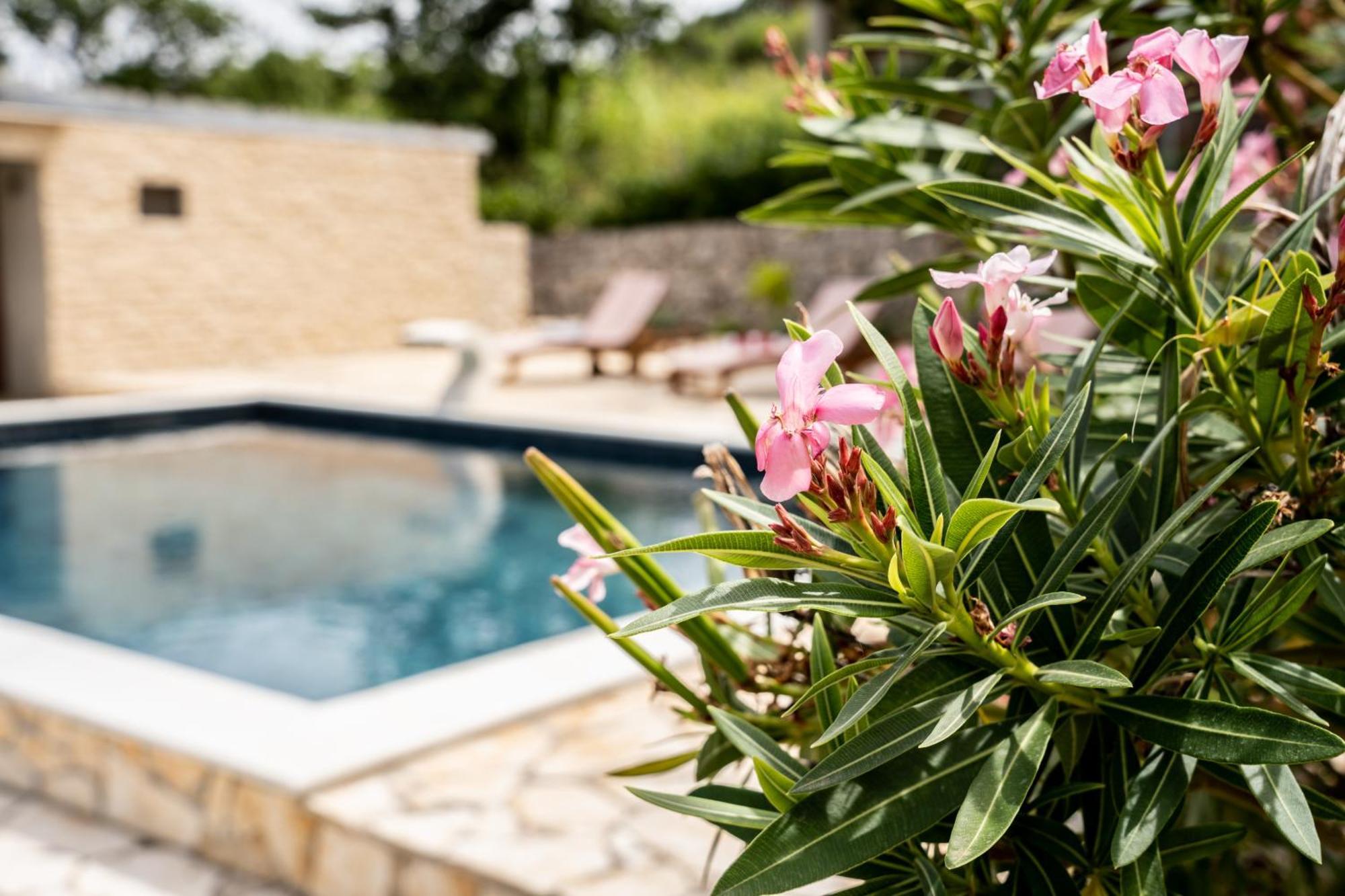 Villa Pag Dubrava Relax With Pool Bosana Exteriér fotografie